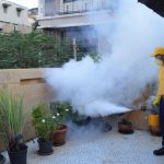 Pest Control Planning for Nampa’s Harsh Winters